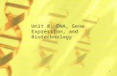Unit 8: DNA, Gene Expression, and Biotechnology 1.