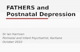 FATHERS and Postnatal Depression Dr Ian Harrison Perinatal and Infant Psychiatrist, Karitane October 2010.