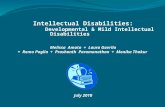 Intellectual Disabilities: Developmental & Mild Intellectual Disabilities Melissa Amato + Laura Gavrila + Remo Paglia + Prashanth Paramanathan + Monika.