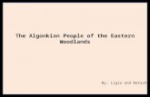 The Algonkian People of the Eastern Woodlands By: Ligia and Natasha.