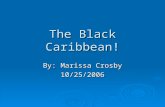 The Black Caribbean! By: Marissa Crosby 10/25/2006.