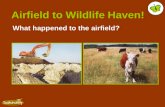 Airfield to Wildlife Haven! What happened to the airfield?