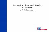 1 Introduction and Basic Elements of Advocacy. 2 What is advocacy? A systematic approach to changing policies and programs to reflect the needs of individuals.