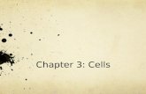 Chapter 3: Cells. Composite Cell All cells vary in size, shape, content, and function Composite cell includes many of the known cell structures Cells.