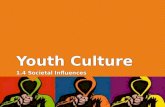 Youth Culture 1.4 Societal Influences. What do we mean by the term “youth culture” ?