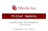 Pillar Update Leadership Development Institute February 15, 2013.