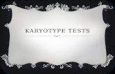 KARYOTYPE TESTS. KARYOTYPE =  Image of all the chromosomes from the nucleus of a cell  Can be done to identify genetic disorders.