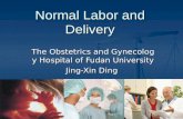 Normal Labor and Delivery The Obstetrics and Gynecology Hospital of Fudan University Jing-Xin Ding.