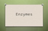 Enzymes. O Protein O Only act on certain substances called substrates.