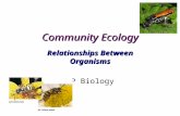 Community Ecology Relationships Between Organisms AP Biology.