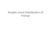 Trophic Level Distribution of Energy. Important Vocabulary Trophic level –a set of species occupying one level of the ecological food chain.