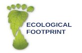 ECOLOGICAL FOOTPRINT. What exactly is an ecological footprint?