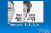 Krissy Cross AP Language Teenage Suicide. Background Information  This is an advertisement of teenagers at risk of committing suicide.  Types of teens.