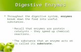 Digestive Enzymes Throughout the digestive system, enzymes break down the food into useful substances.  Recall that enzymes are protein catalysts – they.