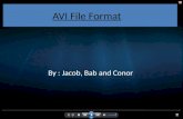 AVI File Format By : Jacob, Bab and Conor. Basic operation Presented By: Conor.