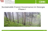 All rights reserved / CENN 2015 CENN.org Sustainable Forest Governance in Georgia Phase I.