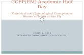 APRIL 4, 2013 ELIZABETH SHOULDICE, MD CCFP(EM) CCFP(EM) Academic Half Day Obstetrical and Gynecological Emergencies: Women’s Health on the Fly.