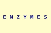 E N Z Y M E SE N Z Y M E S. Enzyme : – mostly proteins, but some catalytic RNA molecules (ribosymes) – extraordinary catalytic power – high degree of.
