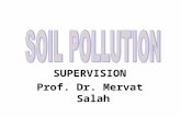 SUPERVISION Prof. Dr. Mervat Salah. What causes heavy metal pollution?