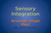 Sensory Integration Arvinder Singh Paul BSc, PGCE (London)