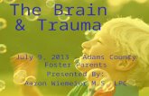 The Brain & Trauma July 9, 2013 – Adams County Foster Parents Presented By: Aaron Wiemeier M.S. LPC.