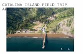 CATALINA ISLAND FIELD TRIP APRIL 9 TH -12 TH. There will be a field trip in April To Catalina Island.