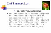 Inflammation OBJECTIVES/RATIONALE Inflammation is a normal response to infection or injury and is considered one of the body’s defensive mechanisms. The.