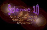 Unit C: Cycling of Matter in Living Systems Unit C: Cycling of Matter in Living Systems.