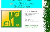 GNO and the pp - Neutrino Challenge  T.Kirsten/GNO Till A. Kirsten Max-Planck-Institut für Kernphysik, Heidelberg for the GNO Collaboration NDM03 Nara/Japan.