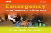 13: Neurologic Emergencies. Brain Structure and Function
