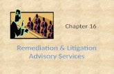 Chapter 16 Remediation & Litigation Advisory Services.