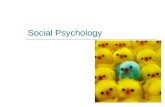 Social Psychology.  Study of an individuals’ behaviors, thoughts and feelings in social situations  Social psychologists examine: 1) Influence of a.