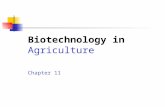 Biotechnology in Agriculture Chapter 11. Learning Outcomes  Describe the role of meristematic tissue in propagating plants by various asexual methods.
