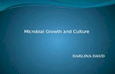 Microbial Growth and Culture DARLINA DAUD. Growth and Cell Division Microbial Growth Defined: 1. Mother or parent cell doubles in size 2. Divides into.