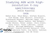 Studying AGN with high- resolution X-ray spectroscopy Jelle Kaastra SRON Nahum Arav, Ehud Behar, Stefano Bianchi, Josh Bloom, Alex Blustin, Graziella Branduardi-Raymont,