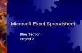 Microsoft Excel Spreadsheet Blue Section Project 2.