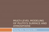 MULTI-LEVEL MODELING OF PLUTO'S SURFACE AND ATMOSPHERE Young, Buie, Young & Olkin.