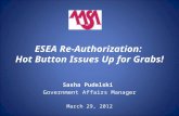 ESEA Re-Authorization: Hot Button Issues Up for Grabs! Sasha Pudelski Government Affairs Manager March 29, 2012.