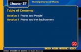 The Importance of Plants Chapter 27 Table of Contents Section 1 Plants and People Section 2 Plants and the Environment.