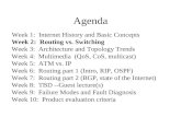 Agenda Week 1: Internet History and Basic Concepts Week 2: Routing vs. Switching Week 3: Architecture and Topology Trends Week 4: Multimedia (QoS, CoS,