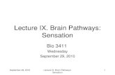 Lecture IX. Brain Pathways: Sensation Bio 3411 Wednesday September 29, 2010 1Lecture IX. Brain Pathways: Sensation.
