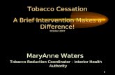 1 Tobacco Cessation A Brief Intervention Makes a Difference! October 2007 MaryAnne Waters Tobacco Reduction Coordinator - Interior Health Authority.