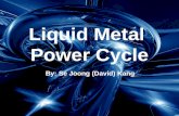 Liquid Metal Power Cycle By: Se Joong (David) Kang.