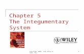 Copyright 2009, John Wiley & Sons, Inc.1 Chapter 5 The Integumentary System.