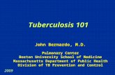 Tuberculosis 101 John Bernardo, M.D. Pulmonary Center Boston University School of Medicine Massachusetts Department of Public Health Division of TB Prevention.