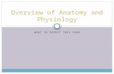 Overview of Anatomy and Physiology WHAT TO EXPECT THIS YEAR.