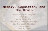 Memory, Cognition, and the Brain Jacaueline A. Haynes CAHA 501 Adult Learning: Maturity Through Old Age Dr. Margaret Mbilizi Instructor June 3, 2006.