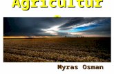 Agriculture Myras Osman. Classification of Economic Activities Primary or Extractive Activities Hunting & Gathering –Farming –Livestock herding –Lumbering.