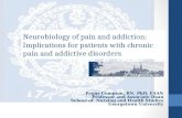 Neurobiology of pain and addiction: Implications for patients with chronic pain and addictive disorders Peggy Compton, RN, PhD, FAAN Professor and Associate.