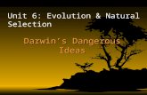 Darwin’s Dangerous Ideas Unit 6: Evolution & Natural Selection.